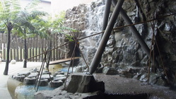 自然臺灣展區一隅--瀑布區