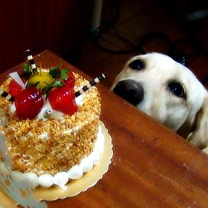 我的生日 有妳真好