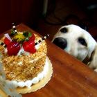 我的生日 有妳真好