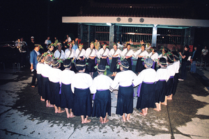 臺南市東山區－東山吉貝耍夜祭