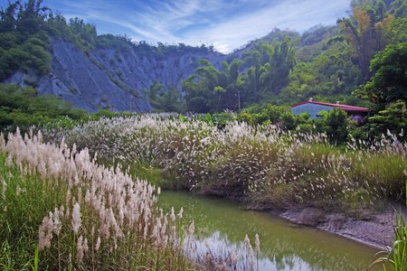 台灣拼圖