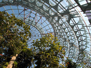 台中市西區－自然科學博物館