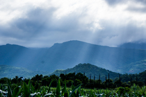 花蓮縣壽豐鄉-平和村