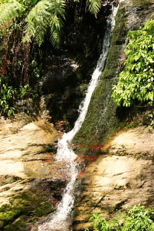 花蓮縣瑞穗鄉－青山涓流