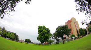 台中市西屯區－逢甲大學