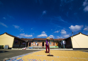 高雄市內門區-曬谷