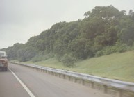 生態綠化植被演替狀況(生態綠化穩定期)