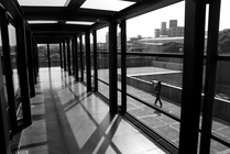 新北市鶯歌區-延伸的框架