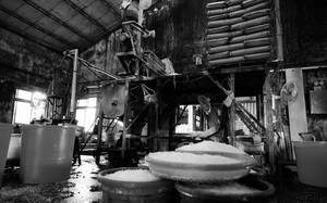 彰化縣芬園鄉─米粉王國