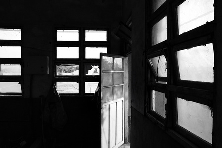 台灣拚圖-彰化縣溪湖鎮