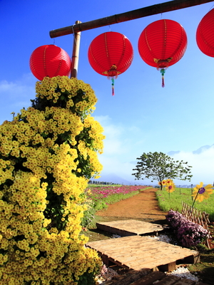 南投縣埔里鎮-2012南投花卉嘉年華(赤崁頂)