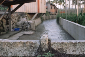台中市東勢區-金門橋-1