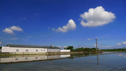 雲林縣林內鄉-陽光下的土地