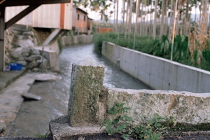 台中市東勢區-金門橋-2