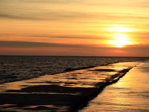彰化縣福興鄉-福寶濕地