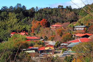 新竹縣尖石鄉-司馬庫斯
