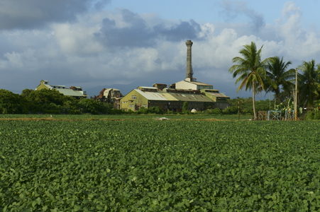 台灣拼圖徵文圖檔