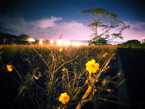 台北市士林區－河濱公園