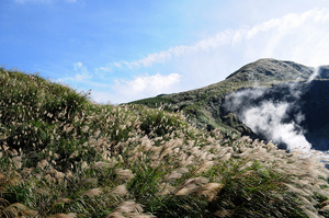 台北市士林區---小油坑