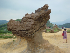 新北市萬里區－地龍出土