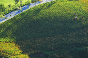 花蓮縣富里鄉-六十石山之美02