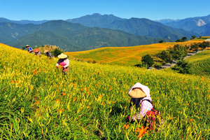 花蓮縣富里鄉-六十石山之美03