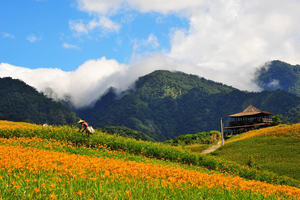 花蓮縣富里鄉-六十石山之美01