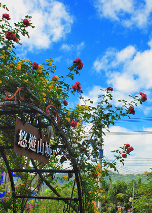 高雄市六龜區-六龜山城休息站