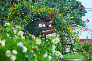 高雄市六龜區-六龜山城休息站