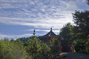 台中市東勢區  瑞雪亭「雪」景