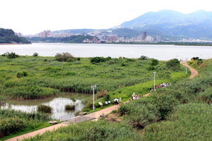 新北市 五股區-五股溼地