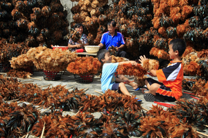 彰化縣埔鹽鄉-手工雞毛撢子