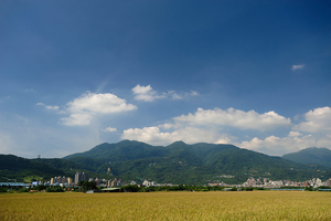 城市裡的田園風光