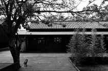 嘉義市東區-嘉義故事館