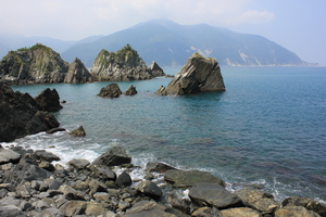 宜蘭縣南澳鄉─粉鳥林