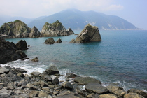 宜蘭縣南澳鄉─粉鳥林