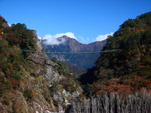 南投縣仁愛鄉-奧萬大吊橋