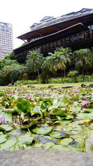 台北市北投區－北投圖書館