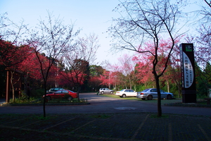 新竹縣橫山鄉-大山背人文生態館