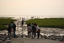 台中市清水區－高美濕地