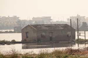 屏東縣林邊鄉－水鄉澤國