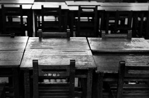 苗栗縣苑里鎮-排排座