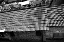 苗栗縣苑里鎮-俯看小小農村