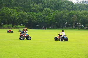台南市柳營區-南元青青大草原
