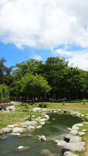 高雄市前金區－中央公園