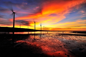 台中市清水區－高美濕地