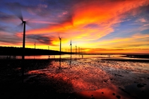 台中市清水區－高美濕地