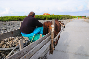 彰化芳苑-芳苑漁村