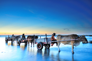 彰化芳苑-芳苑漁村