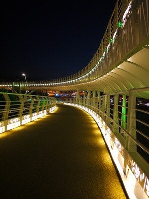 高雄市左營區-翠華燈橋